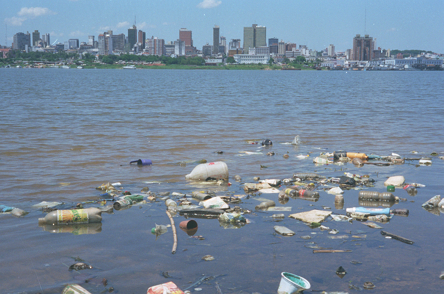 Descubre Las Consecuencias De La Contaminaci N Del Agua